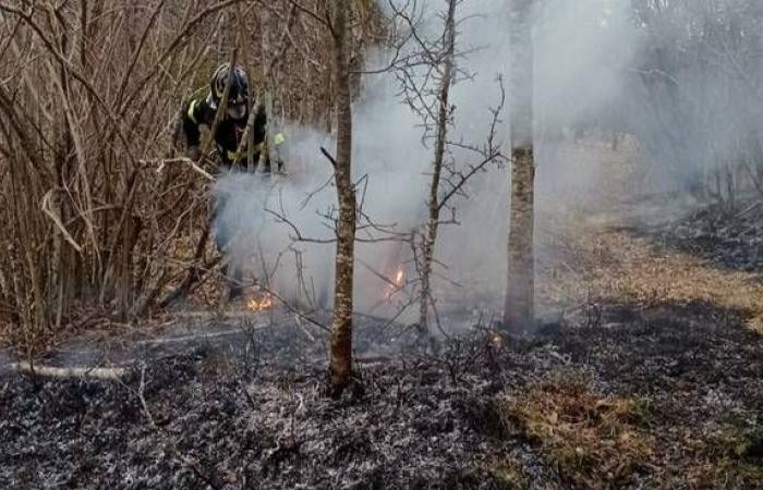 Bei Waldbränden ordnet der Katastrophenschutz ab dem 1. Juli eine Sperrphase an