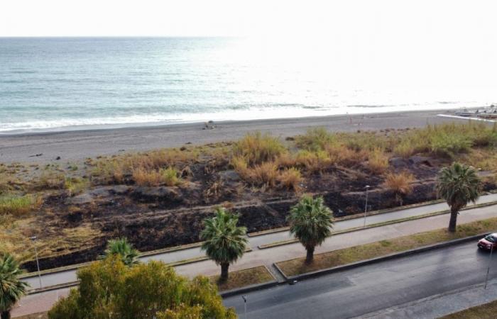 Praia a Mare, das durch Flammen zerstörte Naturgebiet: „Unfall- oder Brandstiftung?“