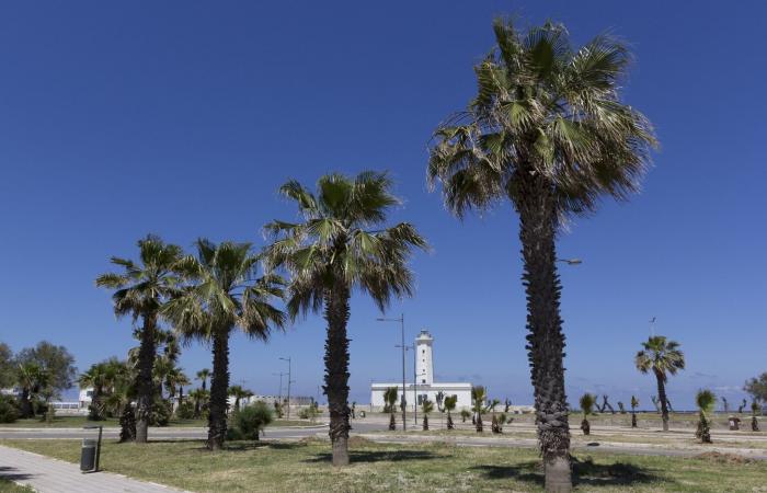 Die 10 schönsten Strände in Lecce und seiner Provinz, aktualisiert bis 2024
