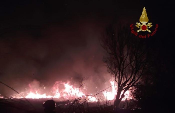 Syrakus, großer Hitze- und Brandnotstand: Die Feuerwehrgewerkschaften: „Es werden außerordentliche Mittel und Ressourcen benötigt“