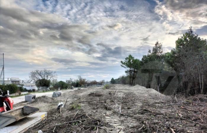 Maritimer Park, Volkswiderstand: „Der Hof von Ravenna lässt keine Gelegenheit aus, uns zu überraschen“