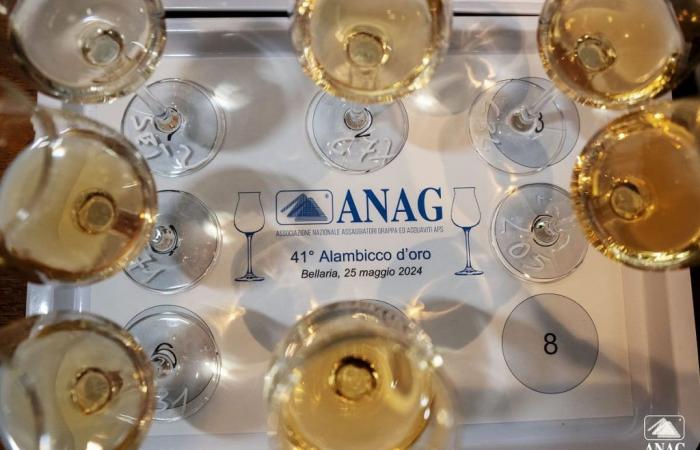 41. ANAG Alembicco d’Oro-Wettbewerb: 78 Medaillen für Brandy, Spirituosen und Grappa – Agenfood