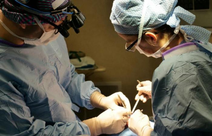 Die Poliklinik San Matteo erhält den Stern der Onlus Transplant Foundation