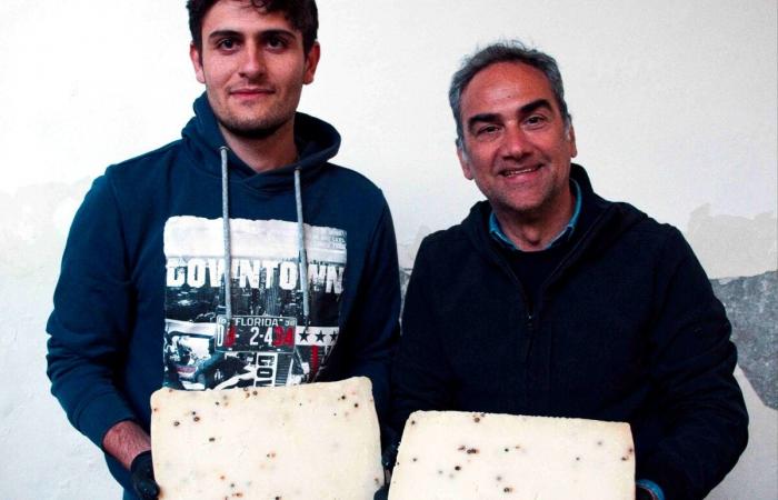 Die Käsesorten von Giovanni Messina aus dem Caseificio Bompietro auf Sizilien