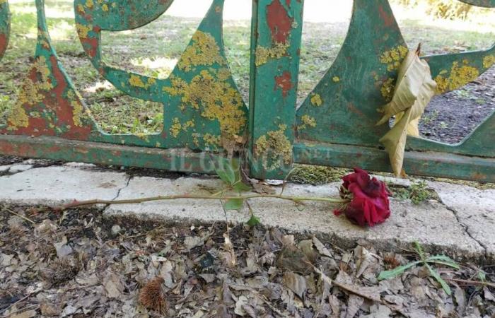 Kurier getötet: Nicolas Opfer eines echten Hinterhalts. Eine Rose an der Stelle, an der er starb