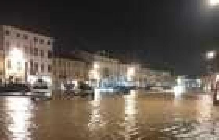 Schlechtes Wetter trifft Castelfranco: Überschwemmungen in der Avenale, entwurzelte Bäume