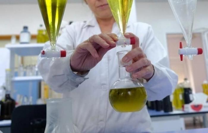 Olivenöl? Eine gesunde Alternative zu Margarine für die Süßwarenindustrie