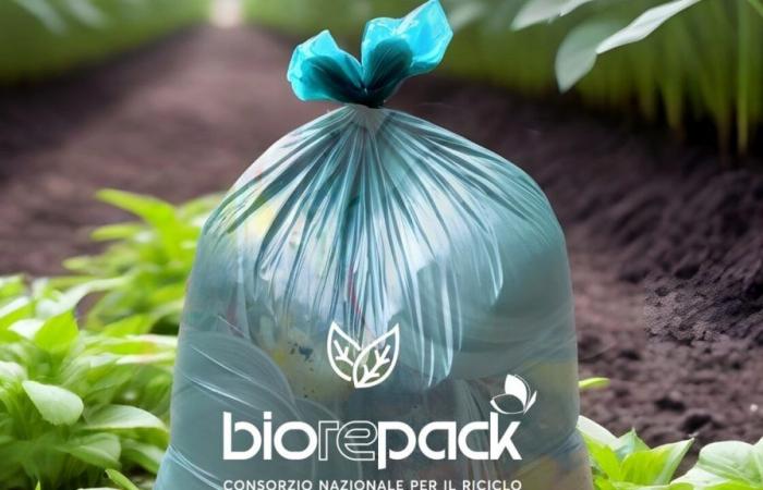 Wie man Biokunststoffe am besten recycelt, Messina Servizi gewinnt die Ausschreibung und startet eine Kampagne