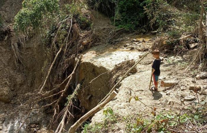 Die Straße nach Nuvoleto, die Überschwemmung in der Romagna, der Erdrutsch und die Hartnäckigkeit der Einwohner