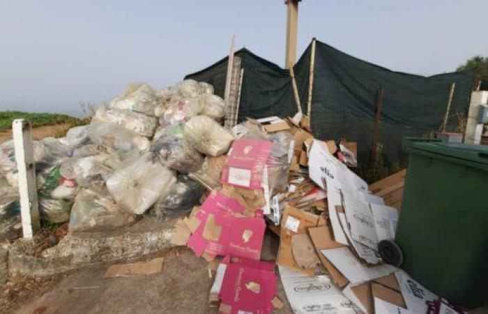 Salerno. Entsorgung von Abfällen für Strände und Bootsfahrer, Kontrollen und Sanktionen durch die Stadtpolizei