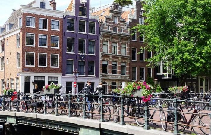 Steigen die Immobilienpreise? In den Niederlanden erhöht die rechte Regierung die Sozialmieten