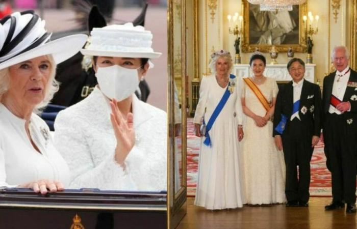 Camilla und die 8-Millionen-Tiara, die Allergie der Kaiserin, die Speisekarte und William (gezwungen, England nicht zu sehen)