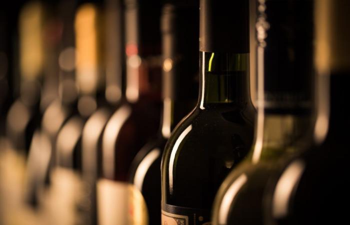 Latium, eineinhalb Millionen für die Weinförderung im Ausland – Wirtschaft und Politik