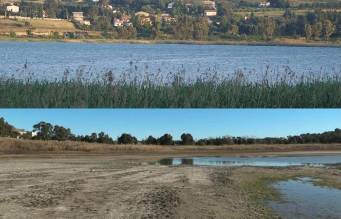 Dürre auf Sizilien wird immer dramatischer: Auch der Pergusa-See ist verschwunden