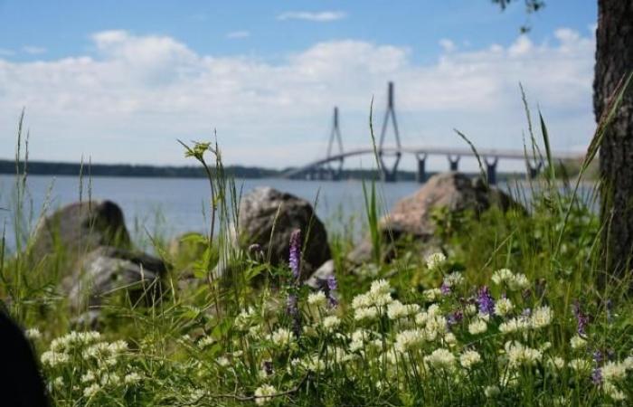 Viterbo News 24 – Logbuch Tag 8 „Juppiter kommt in Finnland an“