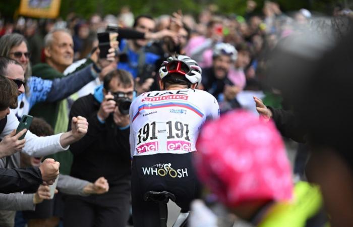 Tour de France 2024, Marc Madiot sieht nur einen Favoriten: „Rennen nach 3-4 Tagen entschieden, Pogacar wird alle sofort zum Explodieren bringen“