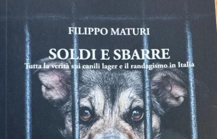Carla Rocchi präsentiert „Soldi e Sbarre“, Filippo Maturis Buch über Lagerhütten und streunende Hunde in Italien
