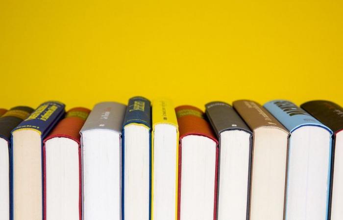 Ein Sommer, den Sie unbedingt lesen müssen, mit Mondadori-Rabatten! Tausende Bücher bis zu 40 % Rabatt!