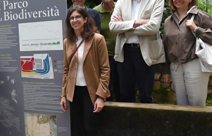 Ein neuer Park für Artenvielfalt. La Montagnola kehrt zu seinen Ursprüngen zurück