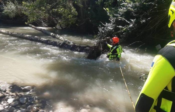Ravenna, drei Kinder und eine Erzieherin vor der Flut des Flusses Lamone gerettet: „40 Minuten lang wollten sie an einem Baumstamm befestigt einen Pantoffel bergen.“