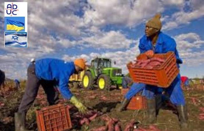 ADUC – Artikel – Mindestproduktpreise gegen Agrar-Gangmastering? Fantasien gegen den Markt, Verbraucher und Legalität