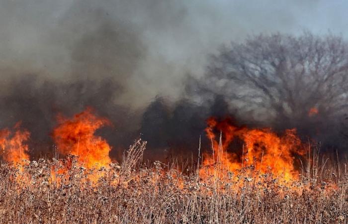 Vorbeugung von Waldbränden: Verbot des Anzündens von Feuer