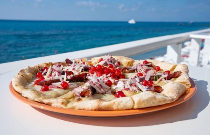 Pizza Bit-Wettbewerb: Halbfinale in Sizilien, Marken und Emilia-Romagna – Agenfood