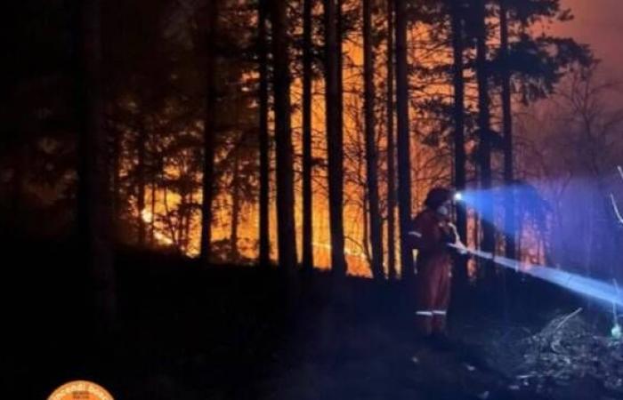 Feuer und Feueranzünden in der Toskana ab 1. Juli verboten: So melden Sie es