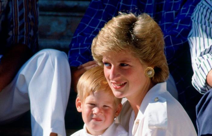 Prinz Harry sagt, er habe verstanden, dass Prinzessin Diana gewollt hätte, dass er glücklich sei