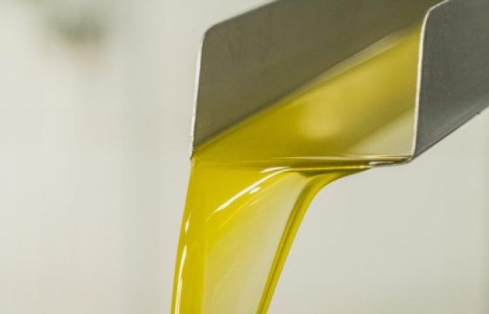 Im Piemont verzeichnete RenOlis einen Anstieg der gebrauchten Öle und Fette um 16 %