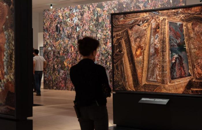 In Venedig ist die größte Einzelausstellung von Edward Burtynsky zu sehen