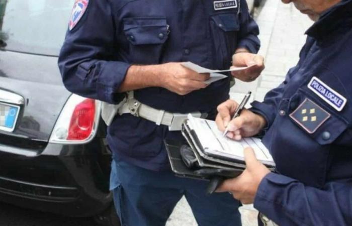 Strom und Gas, Scheinverträge: Eine Bande zwischen Albanien und Italien wird von der Polizei geschnappt
