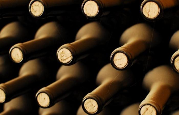 Confagricoltura Fvg: Finanzlösungen für Weingüter. Ausführliches Treffen in Premariacco