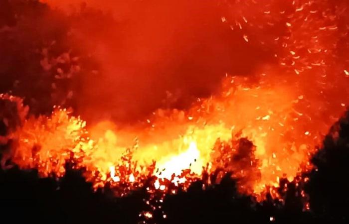 Brände und mehr: das Engagement der Freiwilligen aus Messina