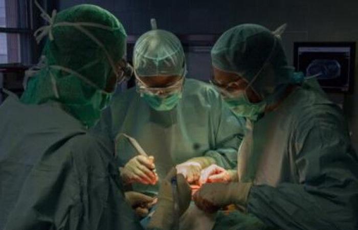 Transplantationen, Flucht: «Organspenden nehmen in Sizilien zu»