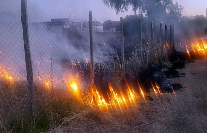 Ardea unter Schock: Feuer bedroht Grünflächen und Sicherheit