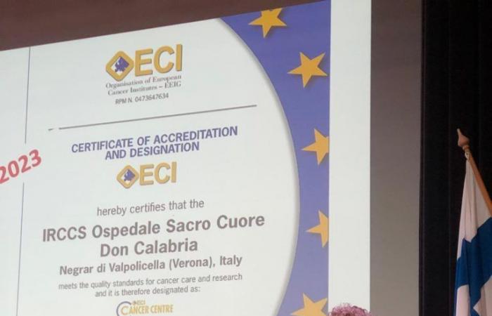 Der Protagonist des Heiligen Herzens Don Calabria beim Treffen der großen europäischen Onkologieinstitute