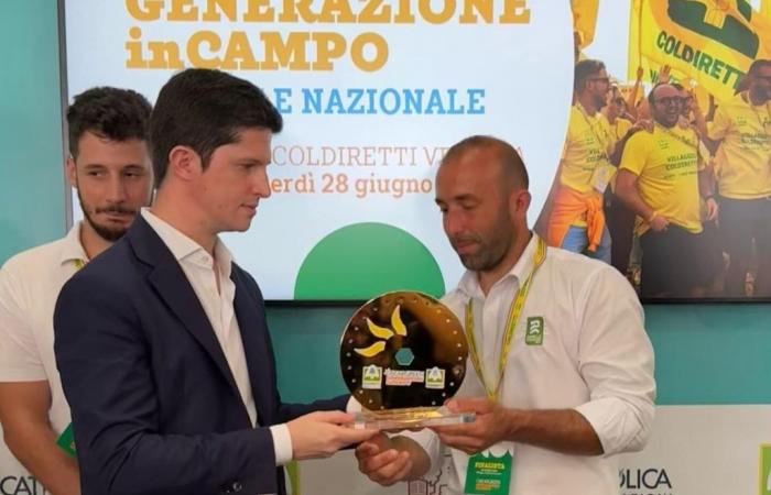 Oscar Coldiretti Green: Sardischer Züchter gewinnt | Ogliastra