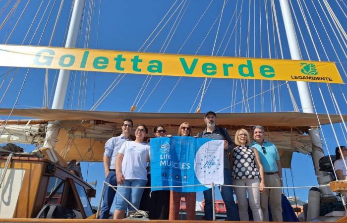 Erster Halt der Goletta Verde von Legambiente in Ligurien vom 28. bis 30. Juni. Die Zeremonie zum Durchschneiden des Bandes in La Spezia ist der nachhaltigen Muschelzucht gewidmet – Goletta Verde | Schoner der Seen