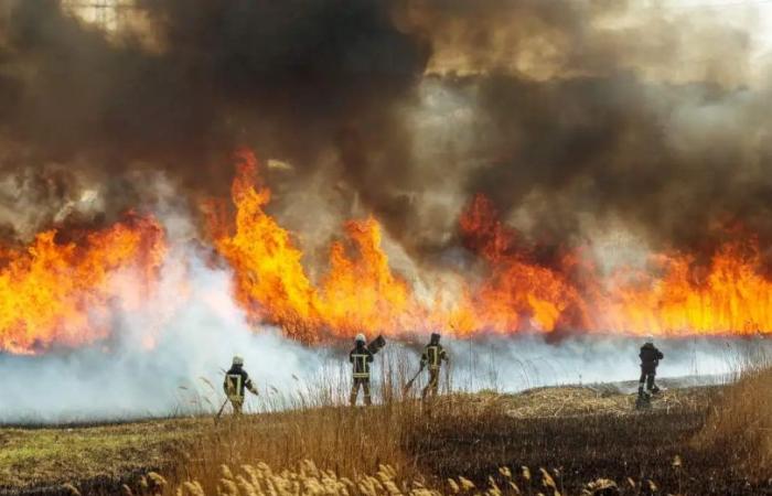 Brandgefahr, ab dem 1. Juli ist das Anzünden von Feuer in der Toskana verboten