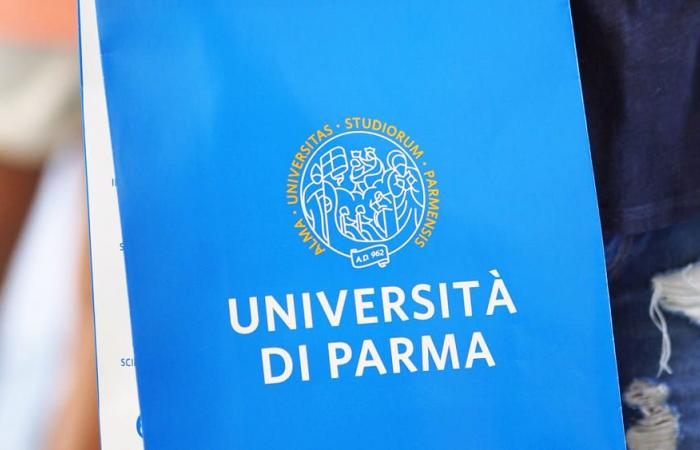 veröffentlichte Rezension des „Thec“-Labors der Universität Parma