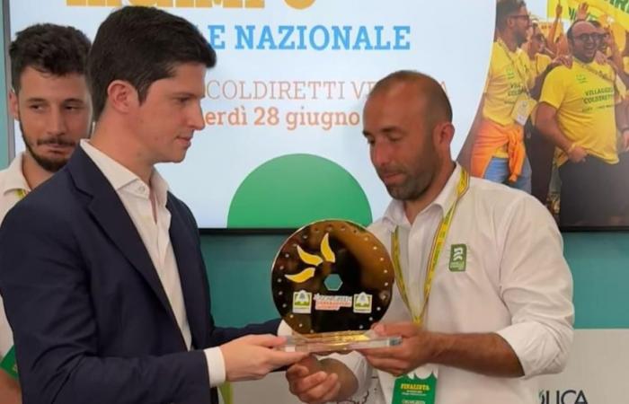 Oscar Green in Venedig: erster Platz für den Züchter Pietro Ledda | Region