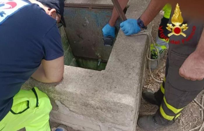 Kind in Brunnen gestorben, 6 davon werden untersucht. Zeuge: „Er bat um Hilfe“