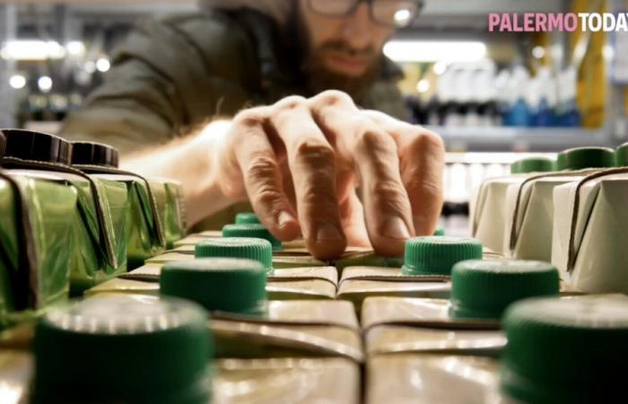Getrennt heißt Palermo Lucca: So werden Getränkekartons mit Plastik recycelt