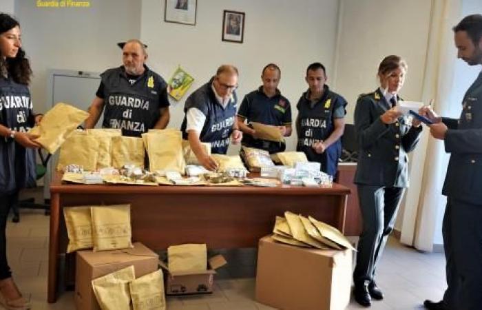 In Verbania entdeckter Handel mit Dopingmitteln: Massenbeschlagnahme von 12.000 Drogen. Beteiligt ist auch die Provinz Pavia