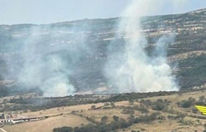 Sardinien: 11 Brände. Flammen in der Nähe von Unternehmen, einige Tiere tot | Nachricht