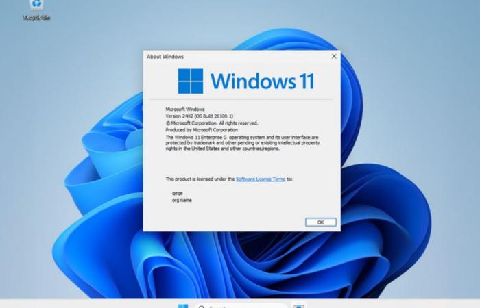 Es gibt die perfekte Version von Windows 11: sehr schnell, verbraucht wenig Speicher und hat keine Microsoft-Apps