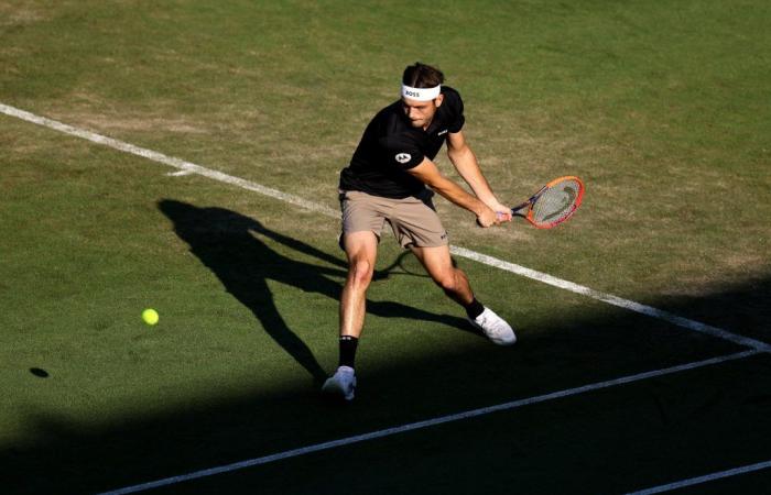 ATP Eastbourne – Fritz wird Purcell im Finale herausfordern. Auf Mallorca wird es Tabilo gegen Ofner geben