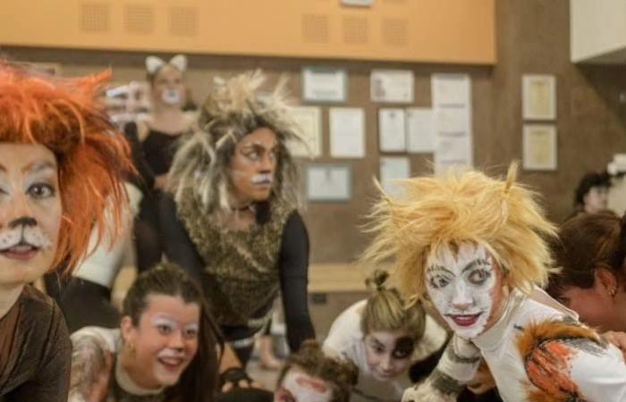 Das Musical „Cats“ erleuchtet das Brecht-Theater in Perugia