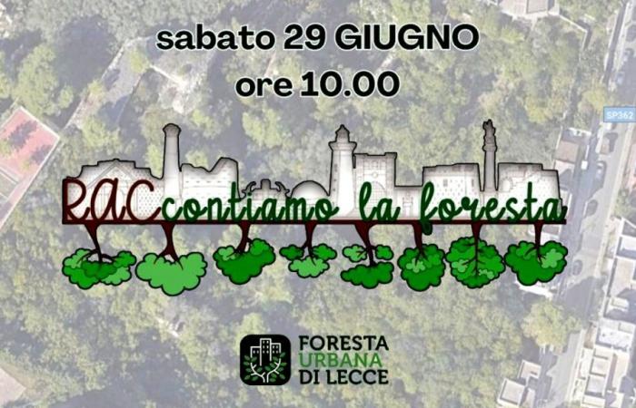 „Lass uns etwas über den Wald erzählen“. Das Projekt des Rotaract Clubs Lecce Barocco für den Stadtwald von Lecce